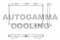 Логотип AUTOGAMMA