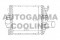 Логотип AUTOGAMMA