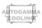 Логотип AUTOGAMMA