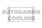 Логотип AUTOGAMMA