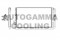 Логотип AUTOGAMMA