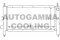 Логотип AUTOGAMMA