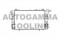 Логотип AUTOGAMMA