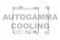 Логотип AUTOGAMMA