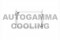Логотип AUTOGAMMA