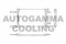 Логотип AUTOGAMMA