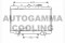 Логотип AUTOGAMMA