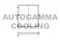 Логотип AUTOGAMMA