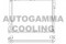 Логотип AUTOGAMMA