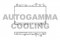 Логотип AUTOGAMMA