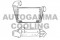 Логотип AUTOGAMMA