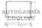 Логотип AUTOGAMMA