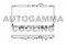 Логотип AUTOGAMMA