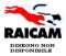 Логотип RAICAM