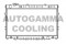 Логотип AUTOGAMMA