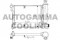 Логотип AUTOGAMMA