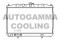 Логотип AUTOGAMMA