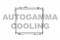 Логотип AUTOGAMMA
