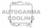 Логотип AUTOGAMMA
