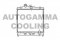 Логотип AUTOGAMMA