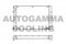 Логотип AUTOGAMMA