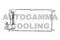 Логотип AUTOGAMMA
