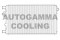 Логотип AUTOGAMMA