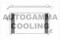 Логотип AUTOGAMMA