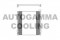 Логотип AUTOGAMMA