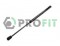 Логотип PROFIT