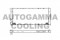 Логотип AUTOGAMMA