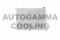 Логотип AUTOGAMMA